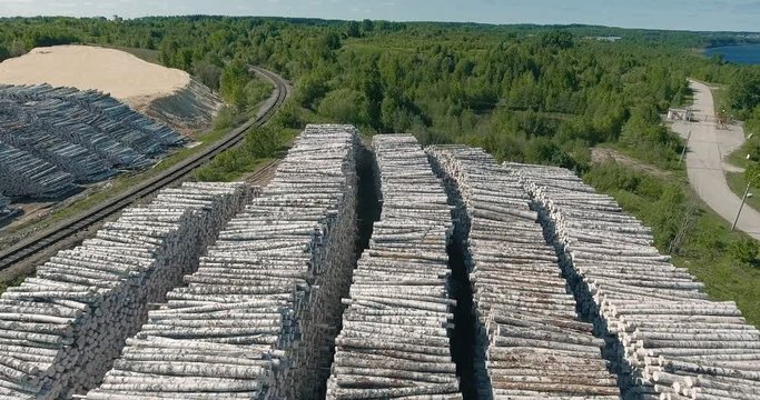 Piles of wooden logs at the sawmill