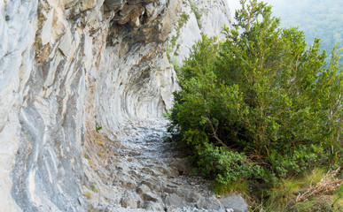 path of the Mature in the Pyrenees
