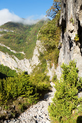 path of the Mature in the Pyrenees