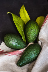 Avocado fruits on dark table