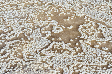 Fototapeta na wymiar dried salt in a basin of a salt mine