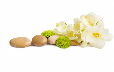Spa flowers and stones isolated