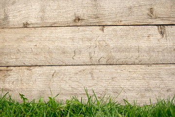 wooden fence with green grass background.