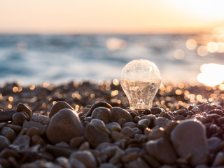 Light bulb at pebble beach