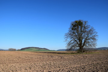 Südniedersächsische Landschaft