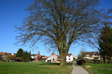 Fototapeta na wymiar Niedersächsisches Dorf