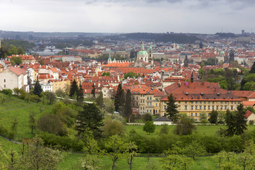 Fototapeta premium View on the spring Prague City with the green Nature and flowering Trees, Czech Republic