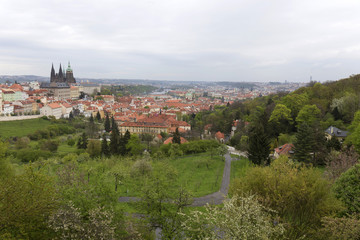 Spring Prague City with gothic Castle and the green Nature and flowering Trees, Czech Republic