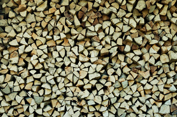 stack of firewood in the forest