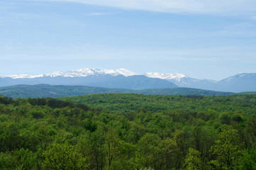 Landscape of woods and mountains