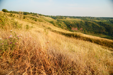 Fototapeta premium dry grass on the mountain with blue sky at doi monjong,