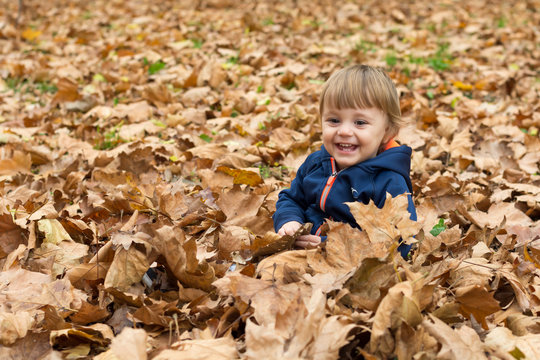 Happy little child, baby boy laughing and playing in autumn