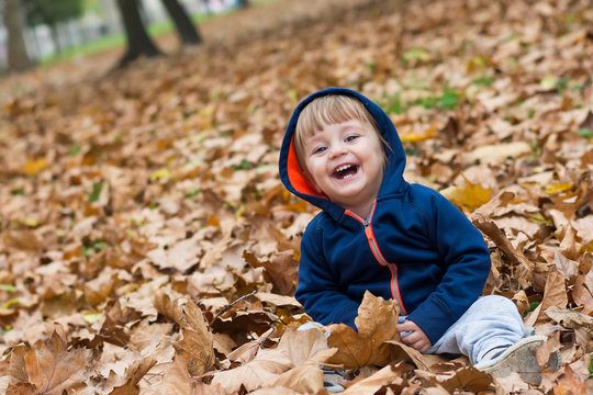 Happy little child, baby boy laughing and playing in autumn