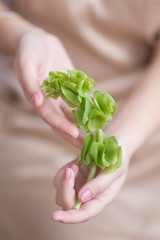 Top view and close up image of green flowers on woman hands