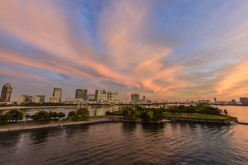 Fototapeta premium お台場と台場公園