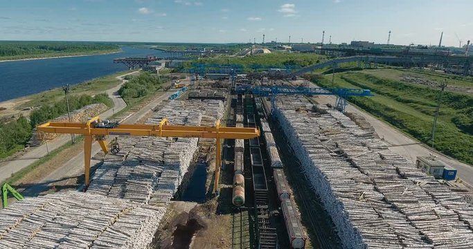 A large timber complex from the height of bird flight