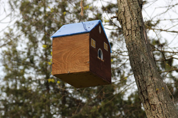 Wooden birdhouses. Houses for birds in the park