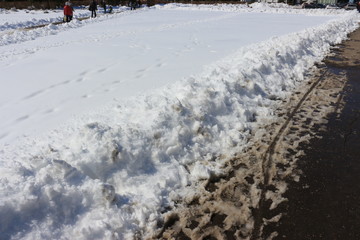 Снег и асфальт