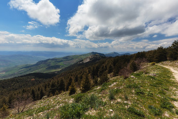 Green Hill Landscape in Central Sicily near Cammarata Mountain in Spring