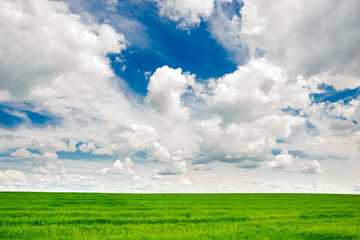 Green grass field and bright blue sky background
