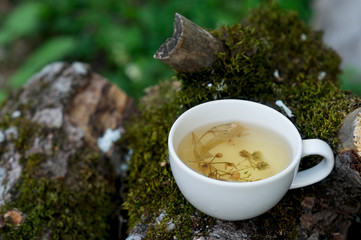 herbal tea in a mug on a log outdoors