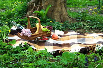 Picnic basket with fruits on the grass in the forest.