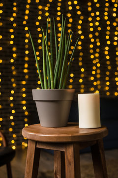 Succulent and candle in loft interior. Bokeh