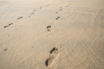 Footprints on the beach