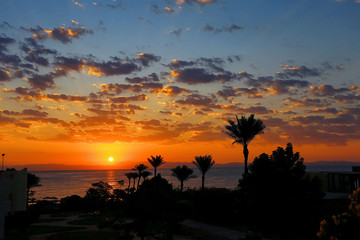 Fototapeta na wymiar Palm trees at beautiful sunset