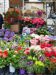 flower stall on street in Padua city in spring