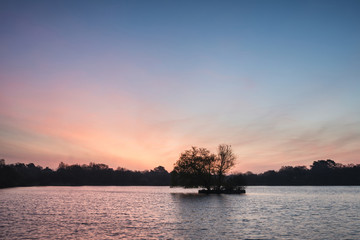 Fototapeta na wymiar Beautiful vibrant Spring sunrise over calm lake in English countryside