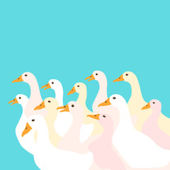 a flock of ducks vector illustration style Flat