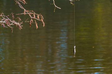 A fishing lure hanging on the fishing line on the background of lake.