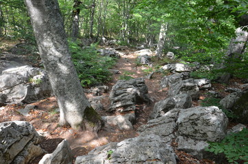 Limestone caves on the Crimean peninsula