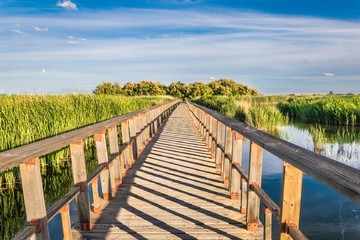 Obraz premium Puente de madera sobre el agua de una laguna. Parque Nacional Tablas de Daimiel. Ciudad Real. España.