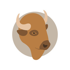 buffalo head  vector illustration Flat style 