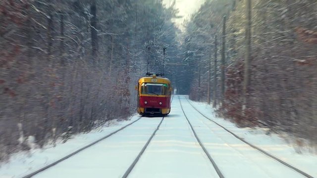 Train in the frozen forest. Looping cinemagram