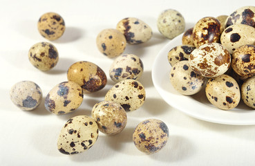 Obraz premium Quail eggs in a white bowl in a sacking