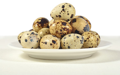 Fototapeta premium Quail eggs in a white bowl on a white