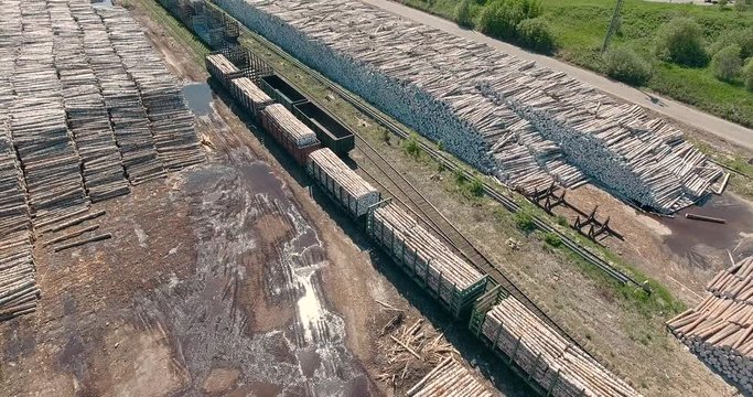 A train with felled trees