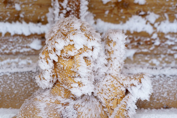 Sculpture Frost Action