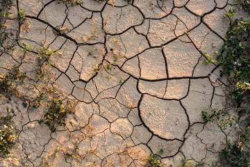 Drought agricultural land. The ground cracks, no water, lack of moisture.