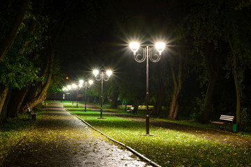 Park night lanterns lamps: a view of a alley walkway, pathway in a park with trees and dark sky as a background at an summer evening