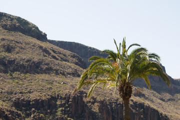 Fototapeta na wymiar mountains on the island of gran canaria