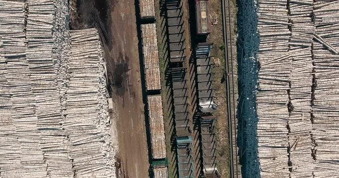 A train is carrying wooden logs
