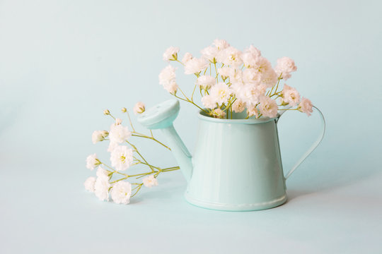 Delicate Bouquet Gypsophila In Blue  Pot On Blue Background. Copy Space For Text.