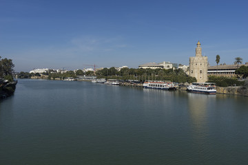 Obraz premium Torre del Oro junto al Guadalquivir en la ciudad de Sevilla, España