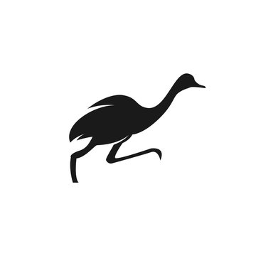 Running ostrich icon. Vector logo illustration