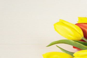 Yellow and red tulips on white wooden board. Background, pattern, texture.