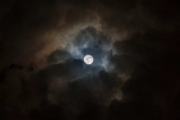 Fototapeten Full moon in a cloudy sky © misign